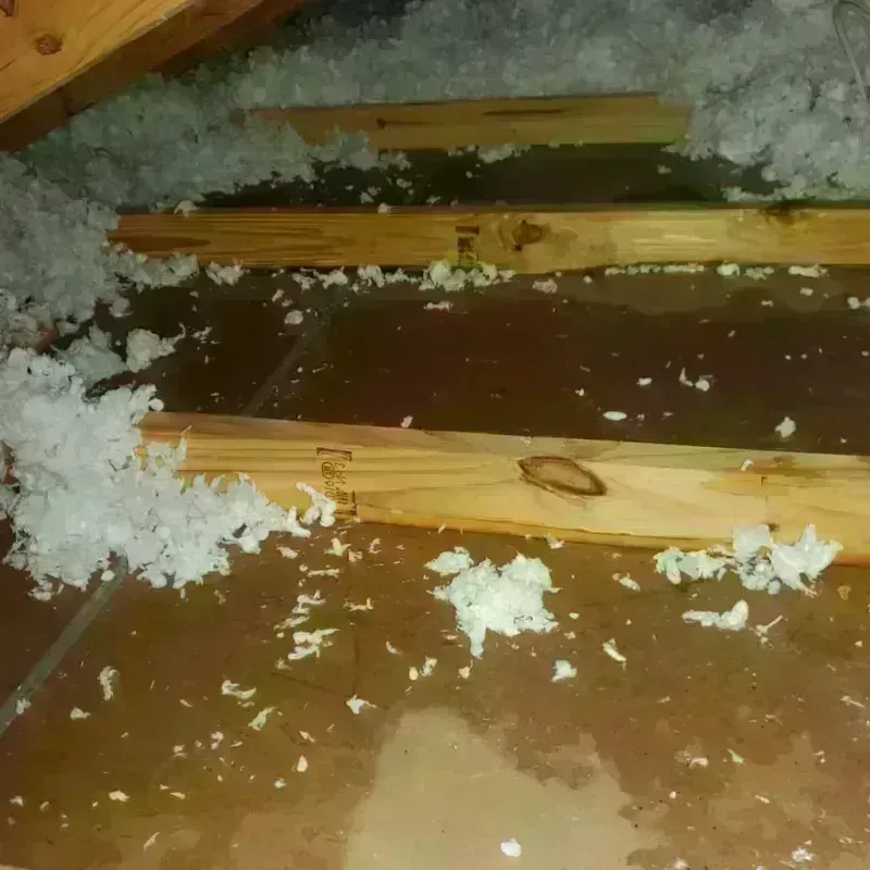 Attic Water Damage in Dracut, MA