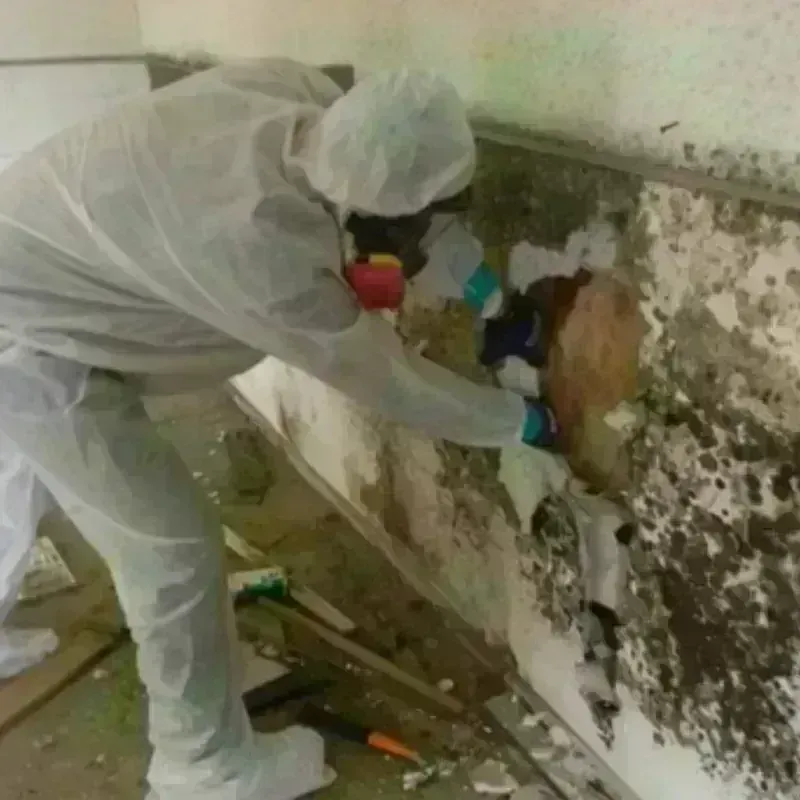 Mold Remediation and Removal in Dracut, MA